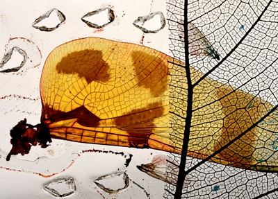 CdeCuba Art Magazine No.27